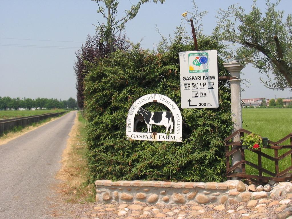 Agriturismo Gaspari Farm Frühstückspension Volta Mantovana